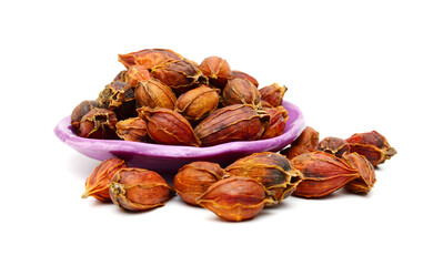 Dried gardenia fruit on isolated with white background. - Image 