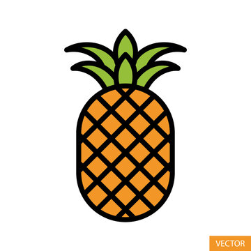 Pineapple vector icon in flat style design for website design, app, UI, isolated on white background. Editable stroke. Vector illustration.