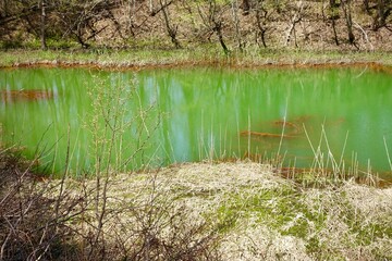 赤沼の風景（裏磐梯　五色沼）