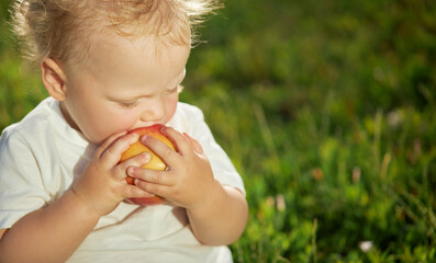 Cute baby 1 year old eats an apple in the park sitting on the grass. The child bites the juicy fruit with the first milk teeth. Healthy natural baby food. organic food