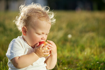 Cute baby 1 year old eats an apple in the park sitting on the grass. The child bites the juicy fruit with the first milk teeth. Healthy natural baby food. organic food