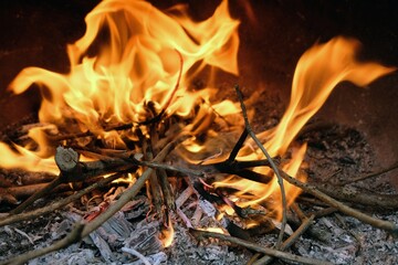 Feu en gros plan avec des flammes et des braises