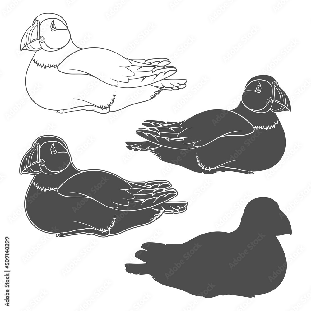 Poster set of black and white illustrations with puffin bird. isolated vector objects on a white background