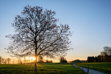 Obraz premium Bergisches Land, Odenthal, Germany