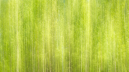 Abstract motion blur spring summer green forest sunny texture background