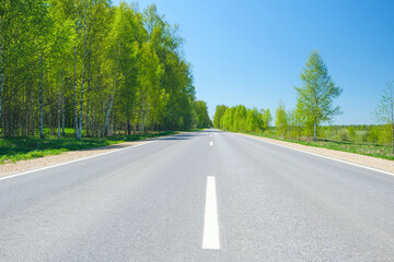 Fototapeta na wymiar Summer asphalt road with trees on a sunny day, travel or vacation concept background