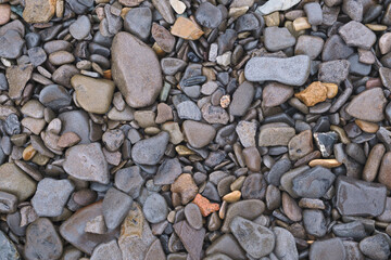 wet sea pebble stone background. grey, white and brown colors. top view