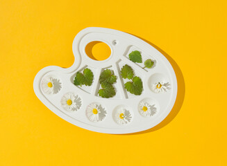Palette with daisy flowers and leaves on yellow background. Nature and art concept.