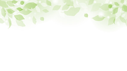 新緑の淡い背景素材