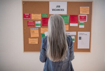 Job center employee standing in front of employment noticeboard. Rear view.