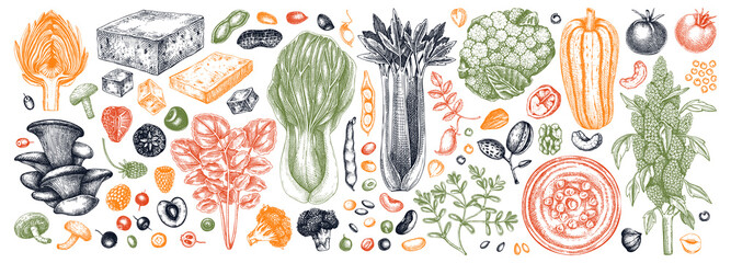 Vegan food illustrations set. Healthy food illustrations collection. Hand drawn vegan meals and ingredients for menu, recipe, packaging design. Vegan food, nuts, seeds, fruits, veggies, tofu sketches - obrazy, fototapety, plakaty