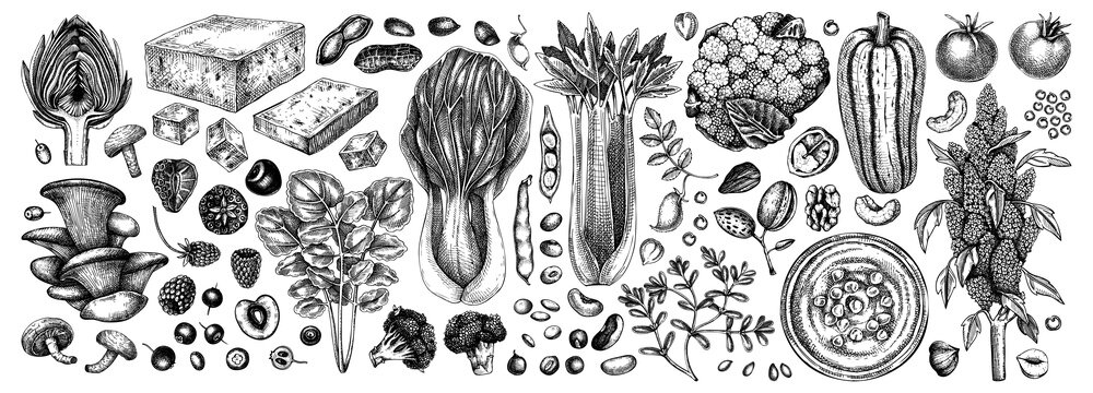 Vegan food illustrations set. Healthy food illustrations collection. Hand drawn vegan meals and ingredients for menu, recipe, packaging design. Vegan food, nuts, seeds, fruits, veggies, tofu sketches