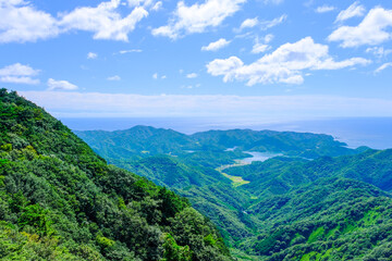 山から海へ