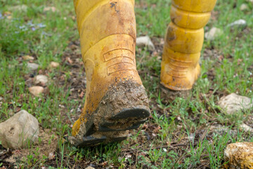 Close up of muddy yellow boots of farmer walking in nature after rain in spring.