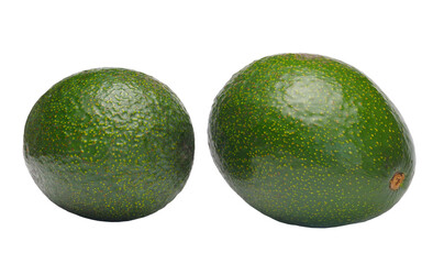 Two green round avocado fruits (Persea americana) isolated on white background