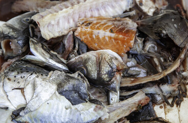 Fish thrown away