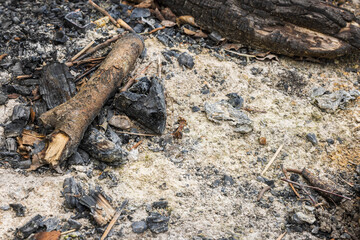 Close up view of place of an extinct campfire with burnt firewood.