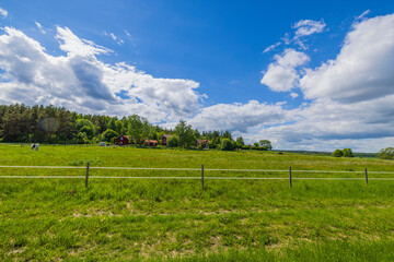 Beautiful landscape view on private pasture for livestock against blue sky with white clouds. Sweden.