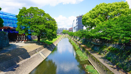 熊本城のお堀 お城まつり 春