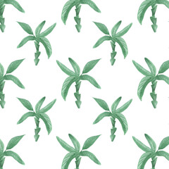 Watercolor seamless pattern with palm. Exotic wallpaper for fabric, wrapping paper, etc