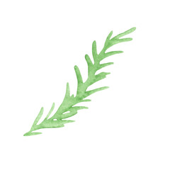 Plant elements. tropical collection. illustration isolated on white background, exotic leaves. watercolor style. green