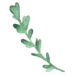 Plant elements. tropical collection. illustration isolated on white background, exotic leaves. 