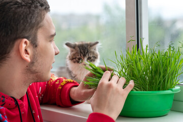 a young man checks how grass has grown for a kitten, a kitten sits next to him in surprise, opening...