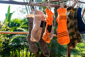 Washing the used socks and drying on the clothesline. After washing the used socks are hanging by...