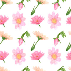 Handdrawn aster seamless pattern. Watercolor pink flowers with green leaves on the white background. Scrapbook design, typography poster, label, banner, textile.