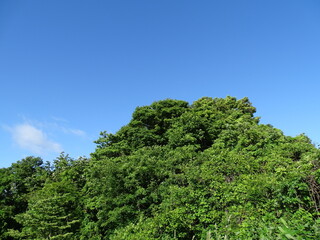 青空と初夏の山