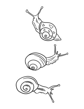 Snail coloring page for little kids. Simple outline illustration of snail.