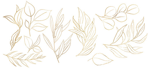 Fototapeta Golden Outlines botanical leaves illustration isolated obraz