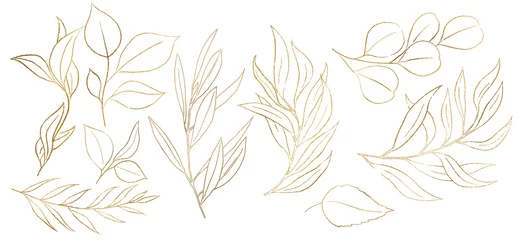 Fotobehang Golden Outlines botanical leaves illustration isolated © katrinshine