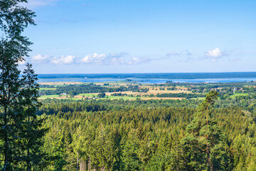 Obraz premium View at a forest and a countryside with a lake