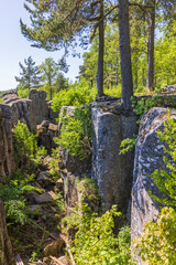 Ravine with rock face in a forest