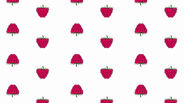 Drawn vector raspberries moving on a white background