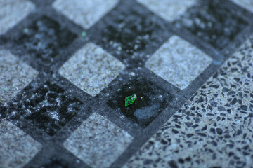 A piece of green glass on a granite chessboard in a park