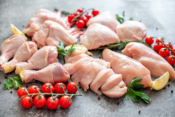 Set of raw chicken fillet, thigh, wings, strips and legs on a stone background of a culinary table with spices