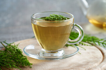 A cup of horsetail tea with fresh horsetail twigs