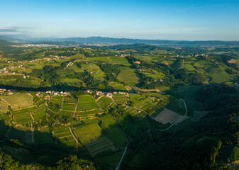 The landscape of vine region Goriska Brda with cultivated vineyards and the town Gorizia in the background, Slovenia - obrazy, fototapety, plakaty
