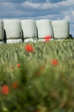 Round hay bales in plastic wrap cover stacked outdoors