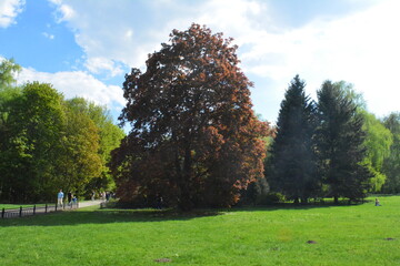 one of the summer days in Moscow