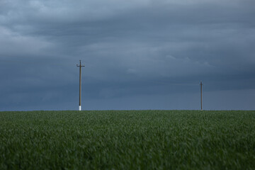 Fototapeta na wymiar Electricity poles in a field on cloudy weather
