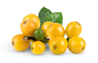 fresh yellow coffee beans on white background