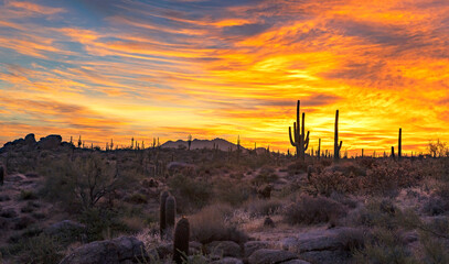 Desert Sunrise Landscape At Brown's Ranch In North Scottsdale Arizona