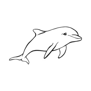 black and white dolphin swimming clip art preview