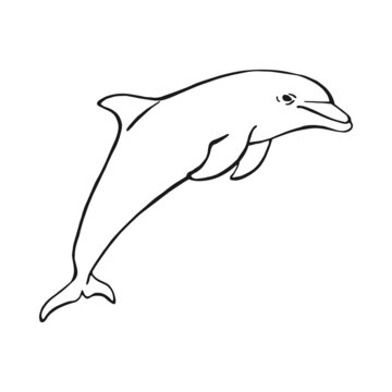 recommend clip art: Hand drawn dolphin. Vector illustration in sketch style. Jumping dolphin isolated on white background.