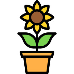 Sunflower icon, Festa junina related vector
