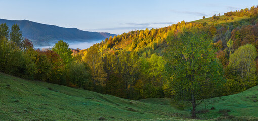 Fototapeta premium Foggy early morning autumn mountains scene. Peaceful picturesque traveling, seasonal, nature and countryside beauty concept scene. Carpathian Mountains, Ukraine.