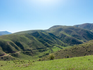 Fototapeta premium Green slopes and blue skies. Kyrgyzstan. tourism and travel